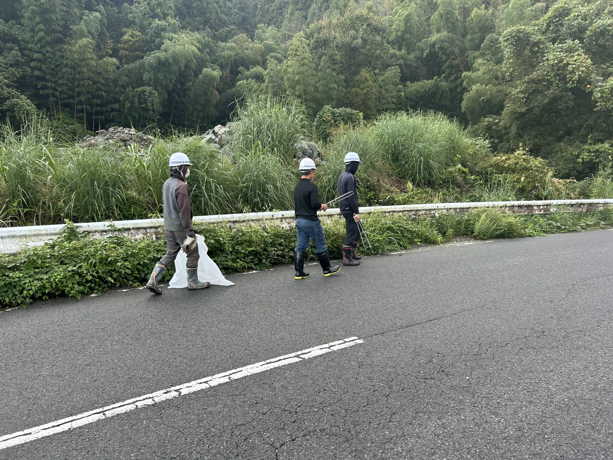 トングとごみ袋を持って道路沿いを清掃する社員たち