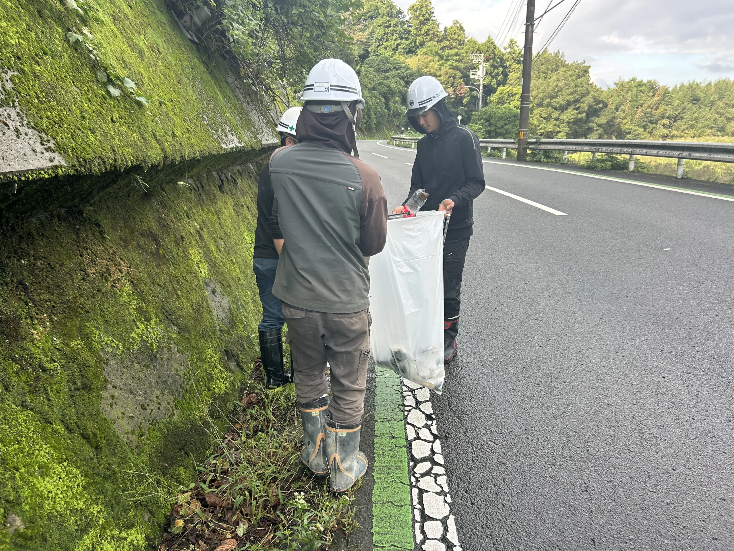 協力して拾ったごみを袋に集めるフクブルの社員